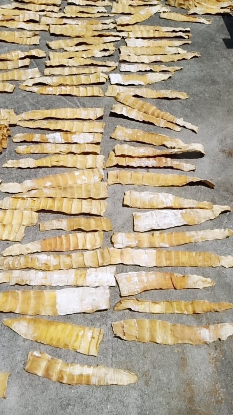 商品购销市场的动态与趋势